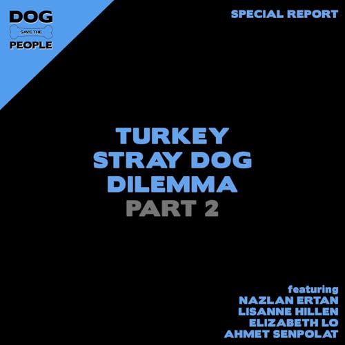 Special Report: Turkey Stray Dog Dilemma | Pt. 2
