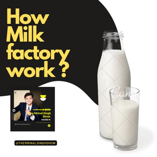 How milk factory work?