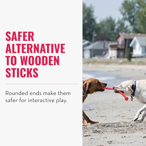 KONG – SafeStix – Robustes Apportierspielzeug aus Flexiblem, Sicherem Material – Für Kleine Hunde