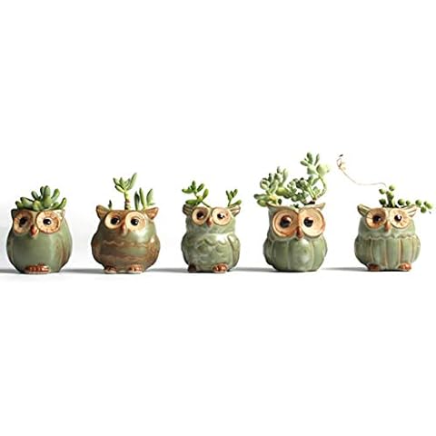 Xiangyin 1PCS Owl Flower Pot Cover
