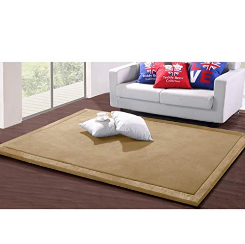 はっ水 ラグ 洗える カーペット 低反発 厚手 リビング ラグマット ラグカーペット 絨毯 ふかふか ブラウン じゅうたん 3畳 マイクロファイバー 200*240cm 赤ちゃん 子供 ペット 新生活 柔らかい ふかふか フランネルラグ 低反発マット