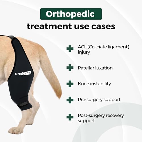 Ortocanis - Kniebandage Hund Hinterbein für das rechte Bein - Hergestellt aus Neopren ARD - Bei Kreuzbandriss, Bänderverletzungen, Patellaluxation oder Osteoarthritis - Größe Medium (11,5-12,2')