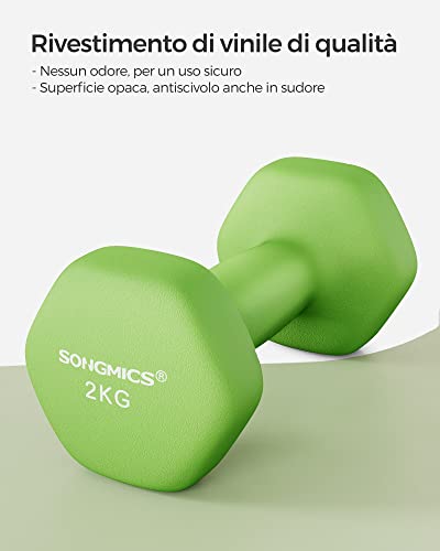 SONGMICS Set di 2 Manubri, 2 x 2 kg, Manubri