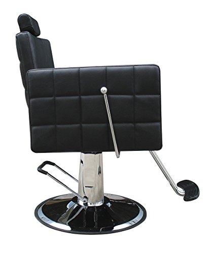 Buy-Rite Salon & Spa Equipment Icon Reclining All-Purpose Chair For Professional Hair Stylists, Salons And Barbers - All Purpose Modern Hydraulic Salon Chair With Extra Wide Seat, Ylg-192A #TOP1