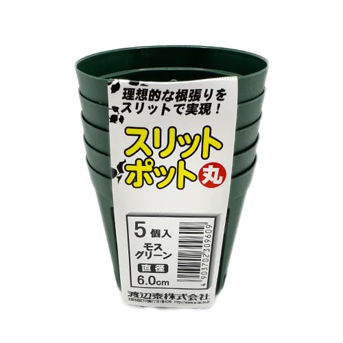 Amazon | 渡辺泰 スリットポット5個入 丸 6.0cm 外寸60×底寸45×高さ