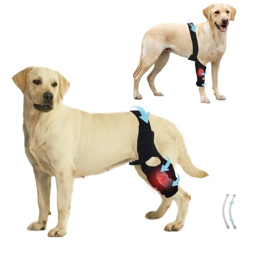 KitchMingle Dog Rear Leg Knee Brace with Side Stabilizers - ACL Support, Arthritis & Knee Dislocation Relief, Extra Stability, Warm Joints & Pain Reduction - Fits ≥7.5 Inches (S)