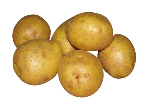 FRUCHTVERSAND24® Speisekartoffeln Drillinge 5kg | geschmacklich sehr fein und aromatisch | Ideal als Beilage, Bratkartoffeln, Ofen- u. Pellkartoffeln, Wedges | sehr lagerfaehig (Sorte: Glorietta) FRUCHTVERSAND24® Speisekartoffeln Drillinge 5kg | geschmacklich sehr fein und aromatisch | Ideal als Beilage, Bratkartoffeln, Ofen- u. Pellkartoffeln, Wedges | sehr lagerfaehig (Sorte: Glorietta)
