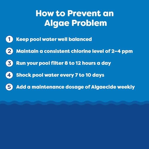 Image of In The Swim Algaecide 60 Plus for Swimming Pools - 1 Quart