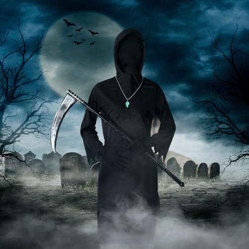 Photo complémentaire