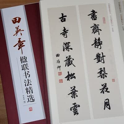 Cuaderno Mágico de Prácticas de Caligrafía, Chinese Brush Copybook Chinese Calligraphy Copybook Running Script Chinese Character Practice Copy Book(C)