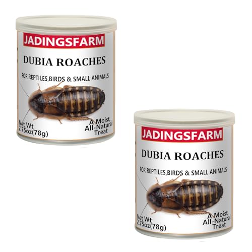 2-Pack-Canned-Dubia-Roaches-for-Reptiles-High-Protein-Natural-Pet-Food-for-Turtles-Lizards-Birds-and-Small-Animals-55-oz-Total 2 Pack Canned Dubia Roaches for Reptiles - High Protein Natural Pet Food for Turtles, Lizards, Birds and Small Animals, 5.5 oz Total - Image 1
