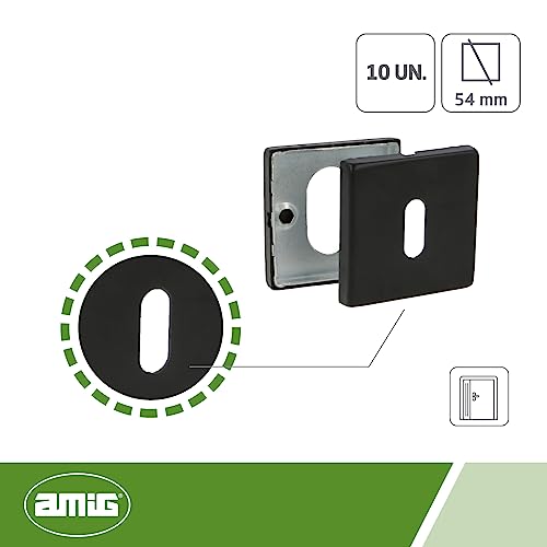 Amig - Edelstahl Türöffnung 6RX Maulwurf | Kompatibel mit Europrofilzylinder | Ideal für Innen- und Außentüren | Einfache Installation, Schwarz, 54 x 54 mm, Edelstahl