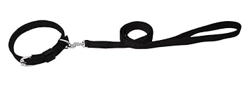Kennel B19 - Premium Nylon Collar & Lead Set (1
