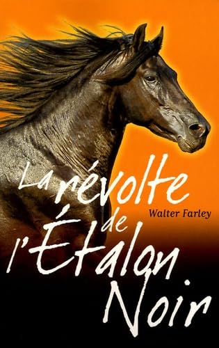 La révolte de l'Etalon Noir [French] 2012009913 Book Cover