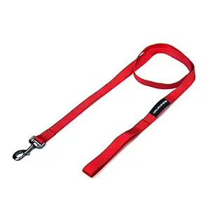 Heads Up For Tails Essentials Nylon Dog Leash - Red - M