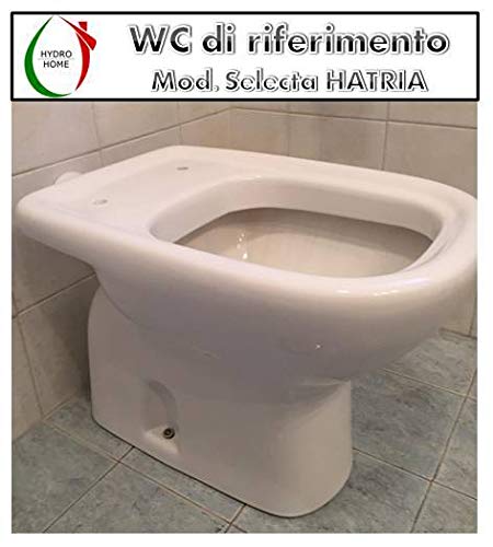 WC-Sitz Aus Holz Mit Polyesterharz-Beschichtung | Universalform, Verstellbar | In Verschiedenen Farben