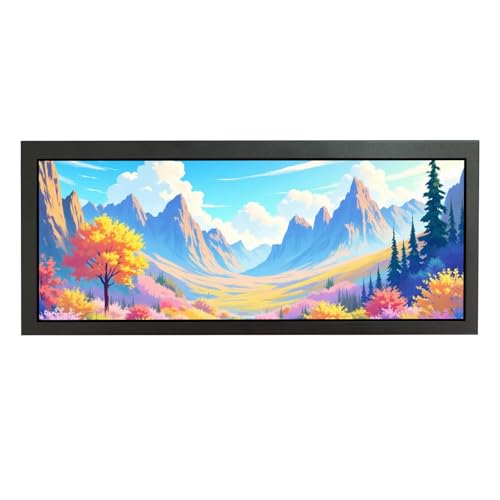 Image of VSDISPLAY 12.3'' Advertising LCD Monitor 1920X720 IPS Stretched Bar Display | Small Digital Signage Display Supports USB Input Auto Copy Autoplay