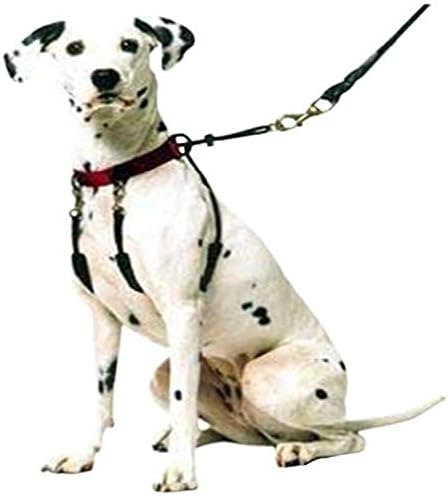 SPORN Head Dog Halter, Black, Small