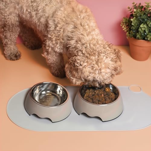 ne&no® Futternapf 2er Set für Welpen und mittelgroße Hunde [Gr. M / 350 ml] Hundenapf rutschfest | Trinknapf Katze | Dog Bowl (M, Taupe)