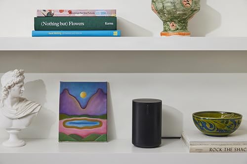 Image of Sonos Era 100 SL - Compact, Microphone-Free Speaker with WiFi, Bluetooth - Black