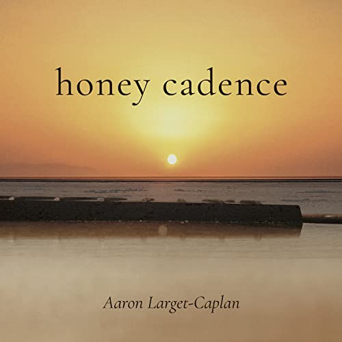 Aaron Larget-Caplan