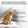 ELENTIA Potty Training Spray for Dogs, Go Here Dog Potty Training Spray & Dog Pee Spray, Puppy Potty Training Aid for Housebreaking, Natural Indoor & Outdoor Use, Blue #1