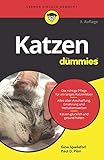 katzenzucht zürich  Katzen für Dummies