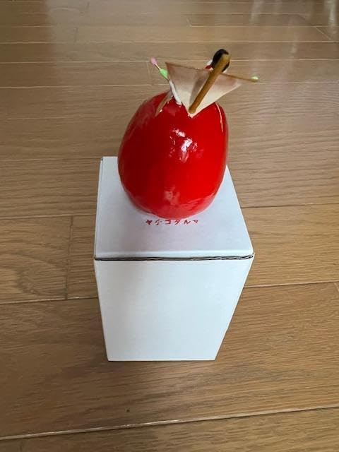 Yachiko Daruma 2025 Zodiac Sign, Box Included