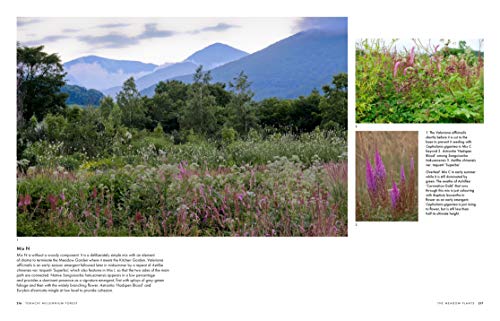 Tokachi Millennium Forest: Pioneering a New Way of Gardening with Nature