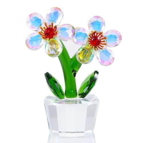 Qianwei NX^t[ KX׍H ͂Ȃ  CeA  NX^  u a ̓ 蕨 LO  v[g - NA