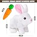 Imagen de DIANLIANG Conejo de Pascua de Peluche Interactivo con Zanahoria de Juguete Conejito de Pascua para Niño