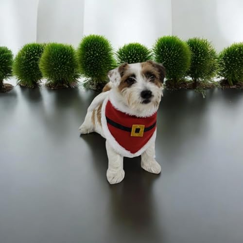 Bandada Papai Noel de Natal para Cachorro Petbuco Animais de Estimação Cães para Todos Os Portes (Gr