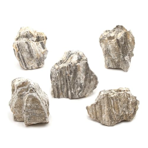 `󂨔C P rrTCYiT`Wj T ANAE CAEgf