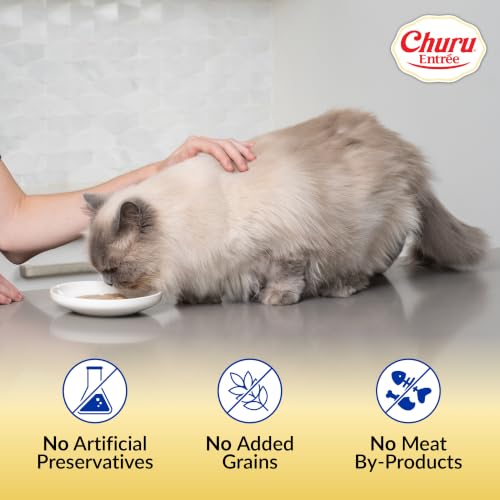 INABA Churu Entree Gravy Wet Cat Food, Tuna Salmon, 24ct - image 2