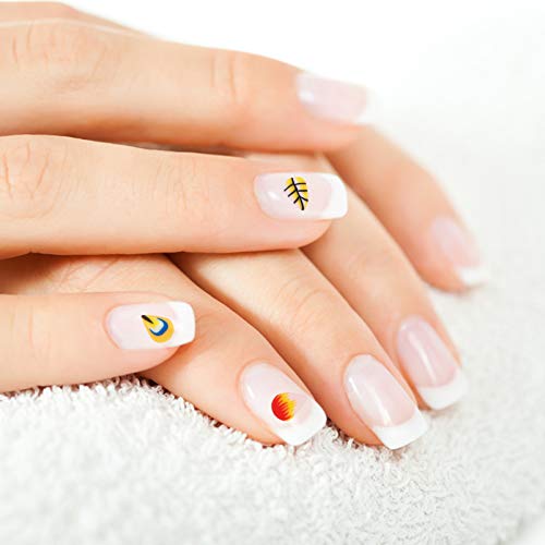 FRCOLOR 4 Pacotes de Fatias de Frutas da Arte Do Prego 3D Flor Pena Polímero de Unha de Resina Encan