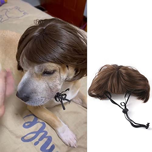 HomeSoGood 3pcs Pelucas para Mascotas Disfraz Divertido miniatura 4