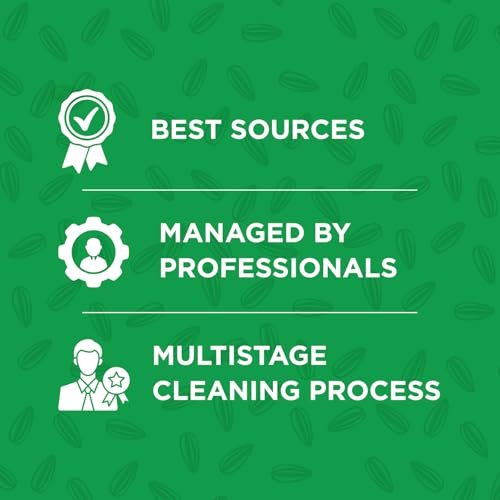 Zoff Panchphoran Whole | Premium Spice Blend | Net Weight 100g