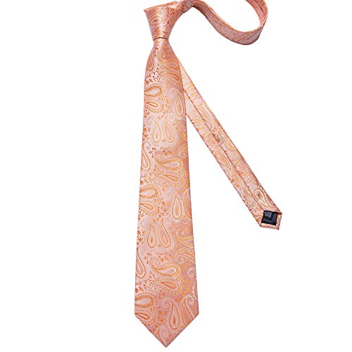 Image of DiBanGu Silk Ties for Men Necktie and Lapel Pin Brooch Set Formal Woven Paisley Plaid Striped Solid Tie Wedding Party