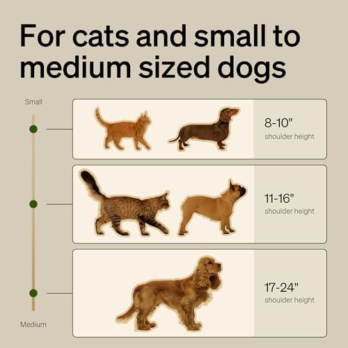 Image of PETLIBRO Slow Feeder Bowl for Small Dogs & Cats, 1.125 Cup- Anti-Gulp Stainless Steel Dog & Cat Bowl, Helps Reduce Risk of Bloat, Dishwasher Safe - Compatible with PETLIBRO Camera Automatic Feeder