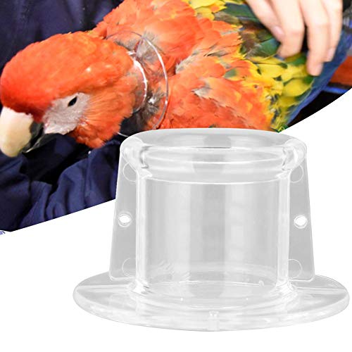 Parrot Neck Collar Bird Recovery Cones Bird Feather Protector Shield for Birds(M), Transparent - Image 2