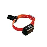 D.T. Systems Baritone Beeper Collar