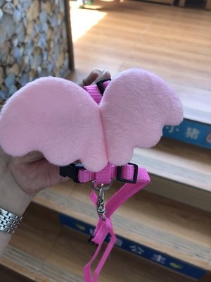 Image of Hypeety Rabbit Harness and Leash Set Escape Proof - Adjustable Bunny Vest Harness for Rabbits with Cute Angel Wings Design (Pink)