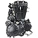 RedCap OEM Manual 6 Speed Complete Engine Assembly Specifically Designed for Jonway GTX 250 EFI XMT 250 EFI Motorcycle - (Sleek Black)