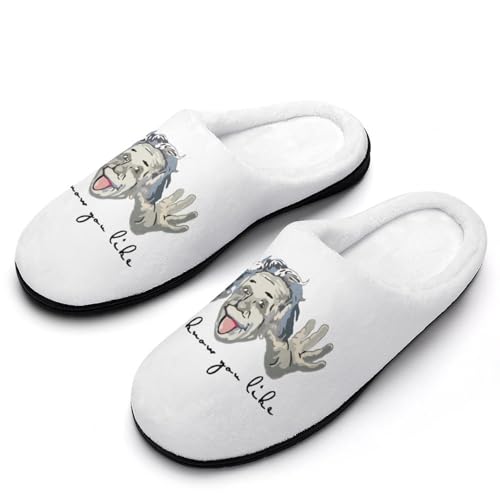 [ACHVAC] �X���b�p �A���o�[�g �A�C���V���^�C�� ���[���V���[�Y �������� �� ����~�� ������� �j�����p �y�� �I�[���V�[�Y�� �I�t�B�X �g�C�� �J�b�v�� ���� �����p ���q�p 11-12�i44-45�j