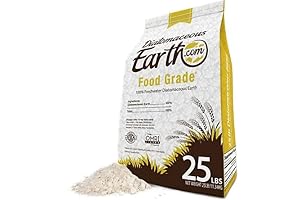 The Ultimate Guide to Diatomaceous Earth: Your Partner in Detox and Well-being