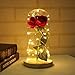 La Bella y la Bestia Rosa, Rosa para Siempre, Rosa eterna en cúpula de Cristal, Rosa mágica con Tira de luz LED, Regalo Rosa para Aniversario, Día de San Valentín, Día de la Madre y cumpleaños