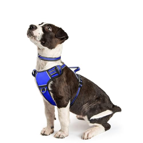 WINSEE Adjustable No Pull Reflective Harness with Collar