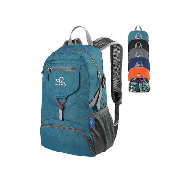 WATERFLY Small Lightweight Packable Backpack: 20l Ultra Light Foldable Travel Hiking Camping Daypack Day Pack for Man Woman
