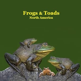 Frogs and Toads of North America Kids Book: Great Children's Book about ...