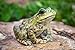 Hi-Line Gift American Bullfrog, Green